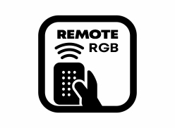 Remote.jpg